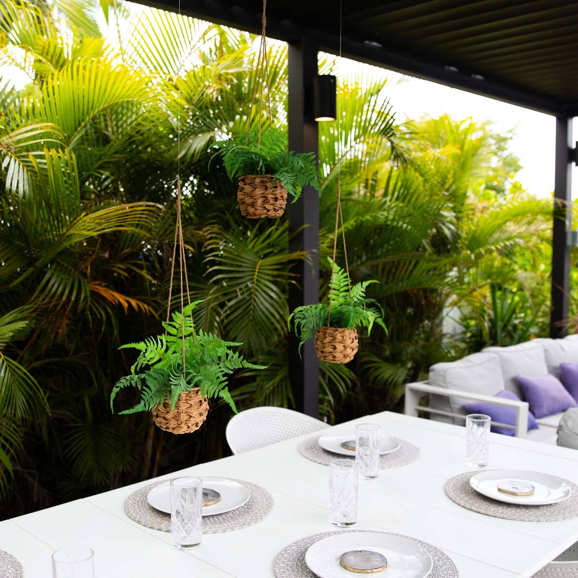 10" UV-Resistant Boston Ferns in Hanging Wicker Baskets, 3ct.